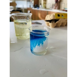  Bratislava: AURELIUM | SCIENCE WORKSHOP